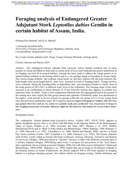 Foraging Analysis of Endangered Greater Adsjutant Stork Leptotilus Dubios Gemlin in Certain Habitat of Assam, India