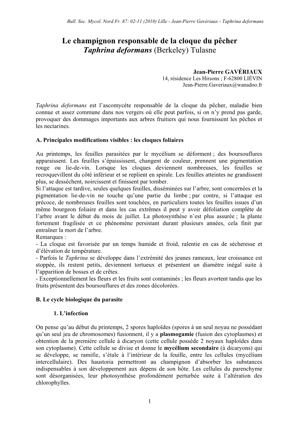 Le Champignon Responsable De La Cloque Du Pêcher Taphrina Deformans (Berkeley) Tulasne