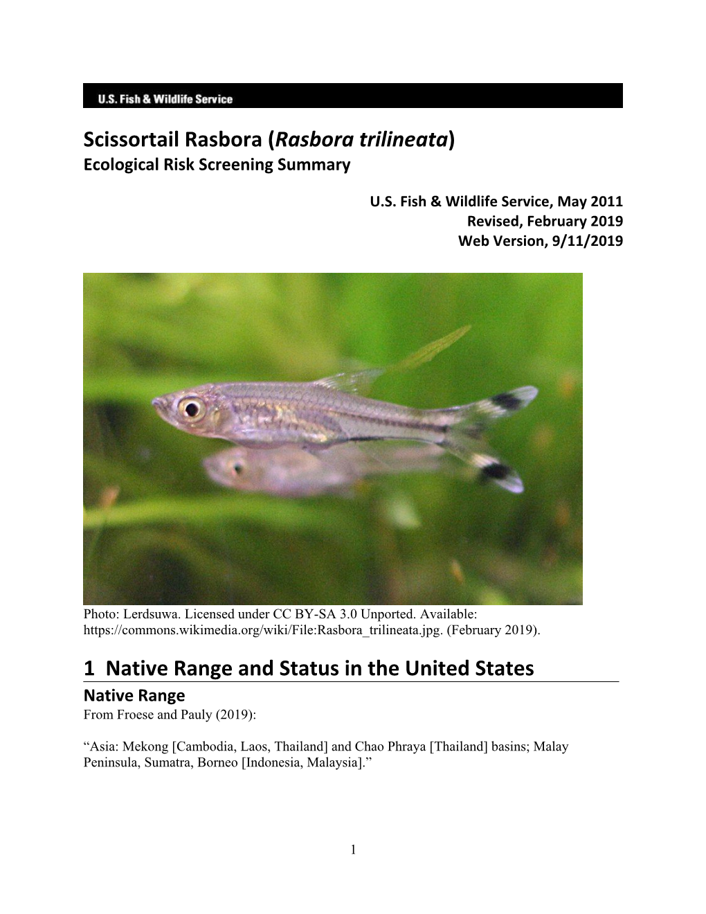 Rasbora Trilineata) Ecological Risk Screening Summary