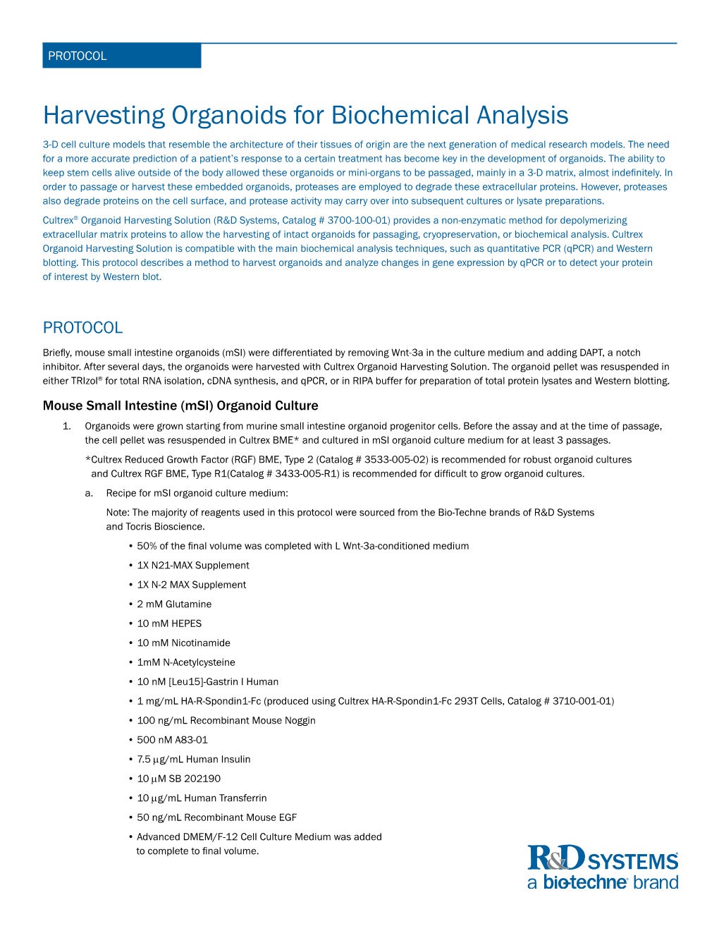 Harvesting Organoids for Biochemical Analysis