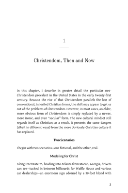 BECOMING a CHRISTIAN in CHRISTENDOM a Sweeping Neckline, Her Perfect Mouth Smiling Over the Eight-Lane Freeway