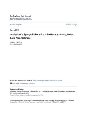 Analysis of a Sponge Bioherm from the Hermosa Group, Molas Lake Area, Colorado