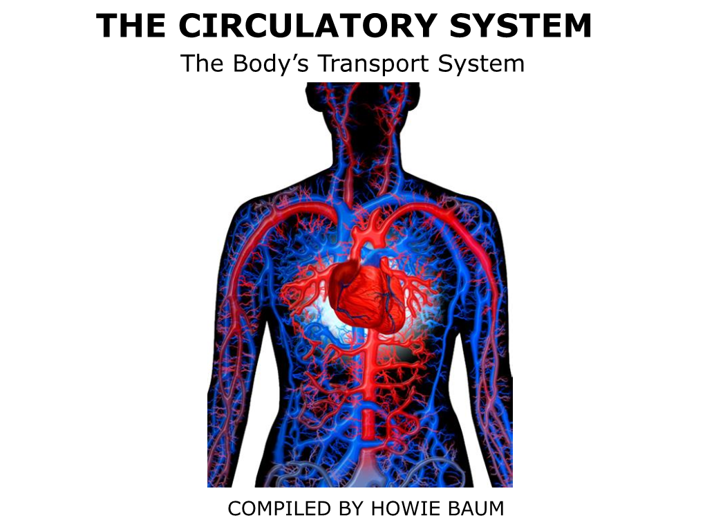 CIRCULATORY SYSTEM the Body’S Transport System
