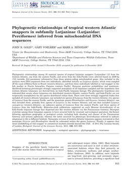 Phylogenetic Relationships of Tropical Western Atlantic Snappers in Subfamily Lutjaninae (Lutjanidae: Perciformes) Inferred from Mitochondrial DNA Sequences