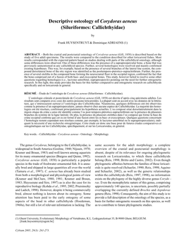 Descriptive Osteology of Corydoras Aeneus (Siluriformes: Callichthyidae)