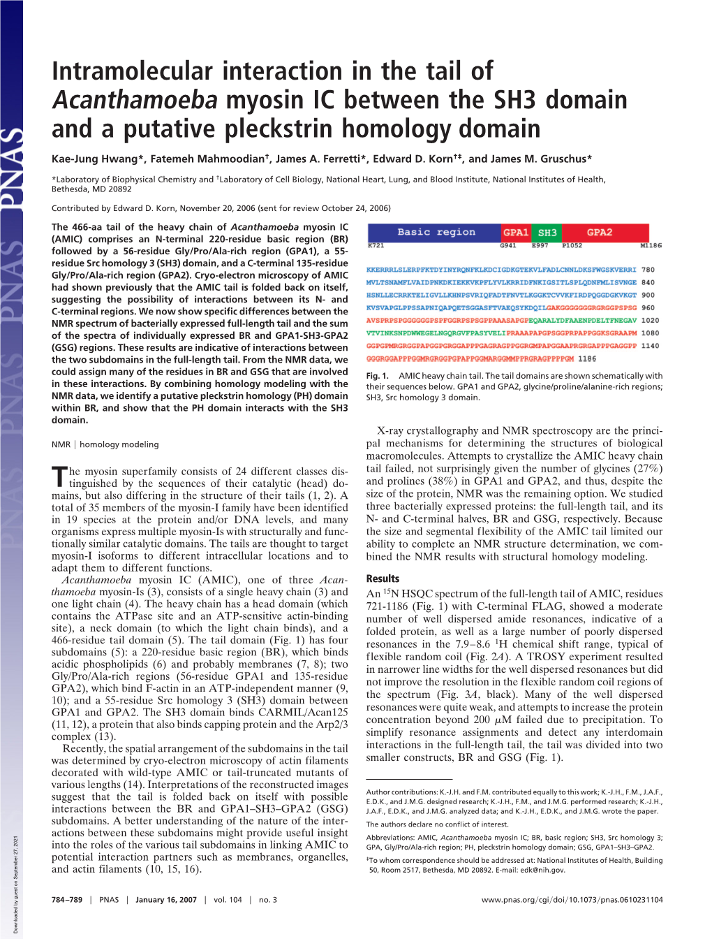 Intramolecular Interaction in the Tail of Acanthamoeba Myosin IC Between the SH3 Domain and a Putative Pleckstrin Homology Domain