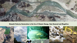Restoring Klamath Salmon: Dams Fish and Fire