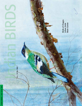 Birds of Chagos Urban Birds Bean Goose Indian BIRDS Contents Vol