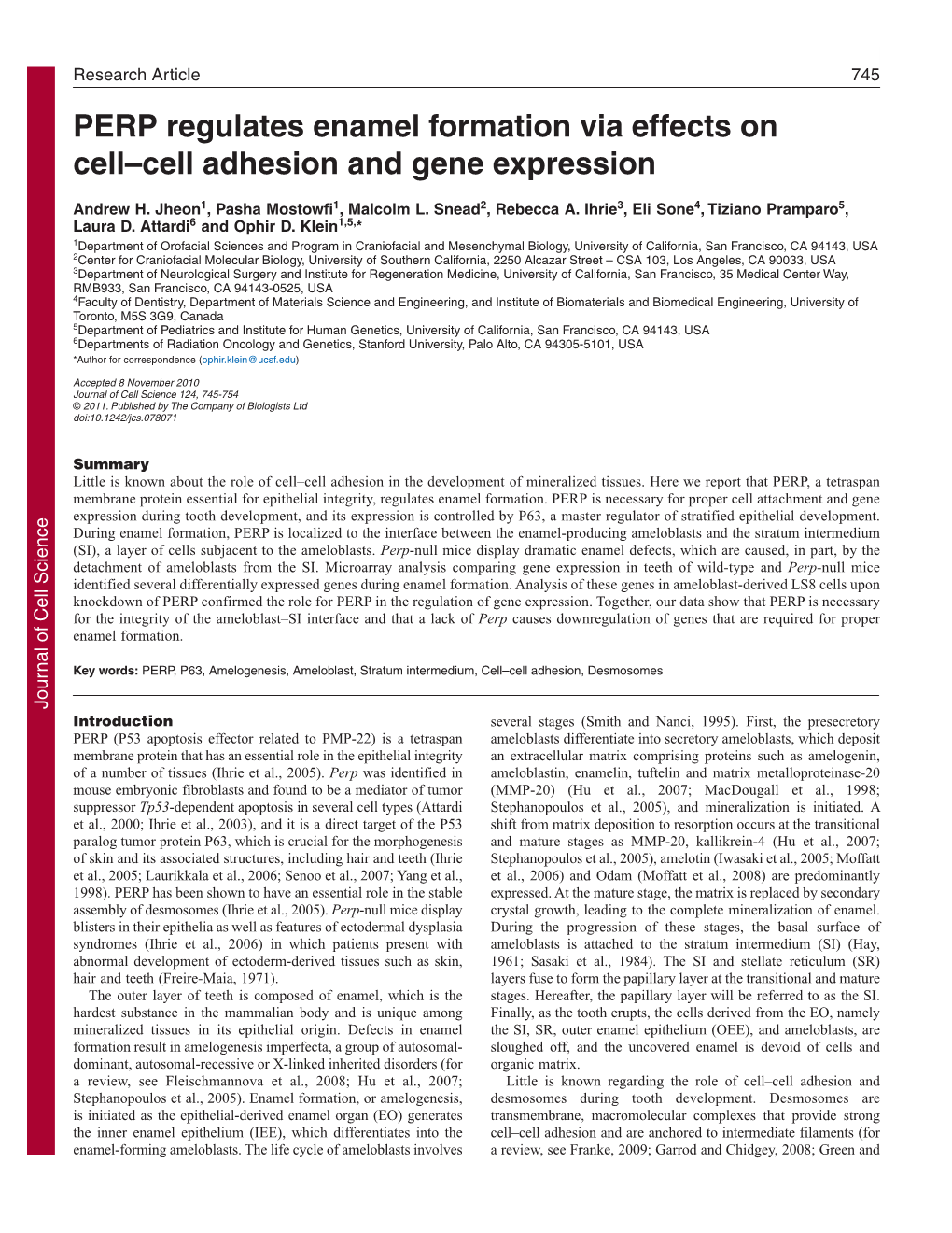 PERP Regulates Enamel Formation Via Effects on Cell–Cell Adhesion and Gene Expression