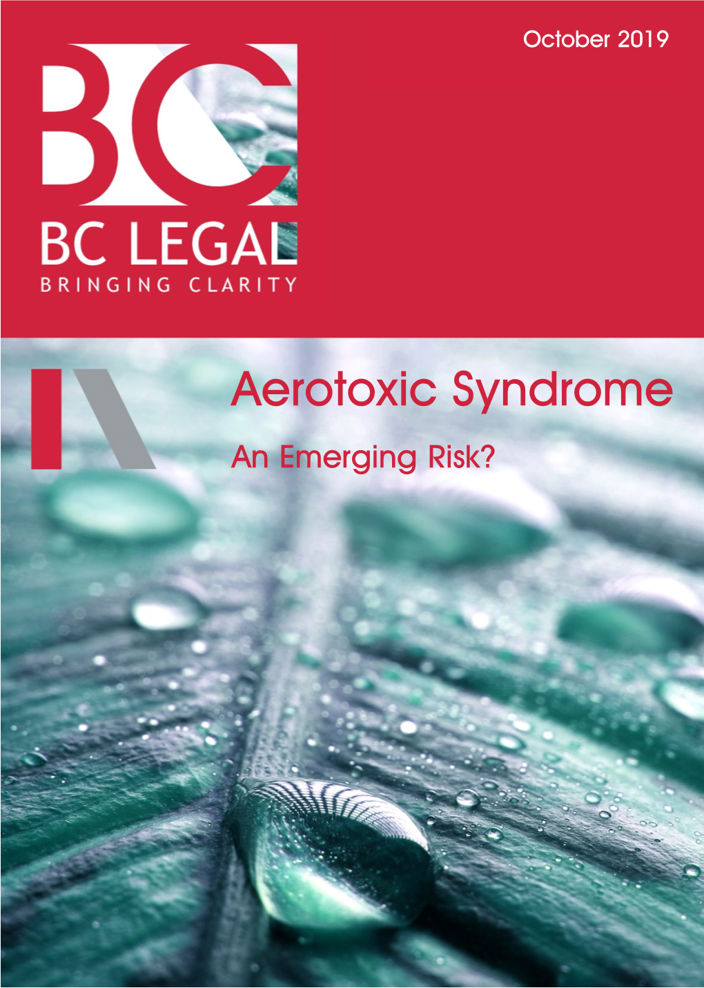 Aerotoxic Syndrome