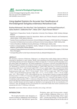 Using Applied Statistics for Accurate Size Classification of the Endangered Tachypleus Tridentatus Horseshoe Crab