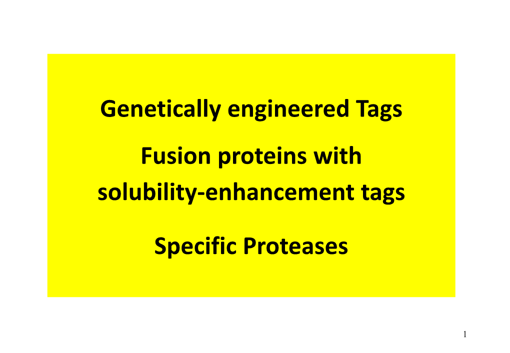 Affinity Tags and Fusion Proteins • Chelating, Strep-Tag, GST, MBP, SUMO , C-Terminal, Etc • Cleavage Sites