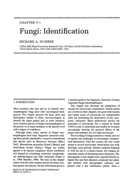Fungi: Identification