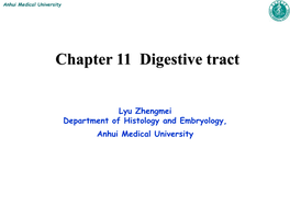 Chapter 11 Digestive Tract