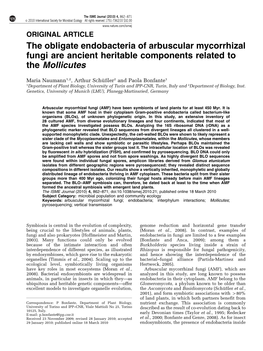 The Obligate Endobacteria of Arbuscular Mycorrhizal Fungi Are Ancient Heritable Components Related to the Mollicutes