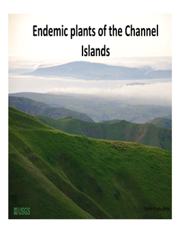 Endemic Plants of the Channel Islands