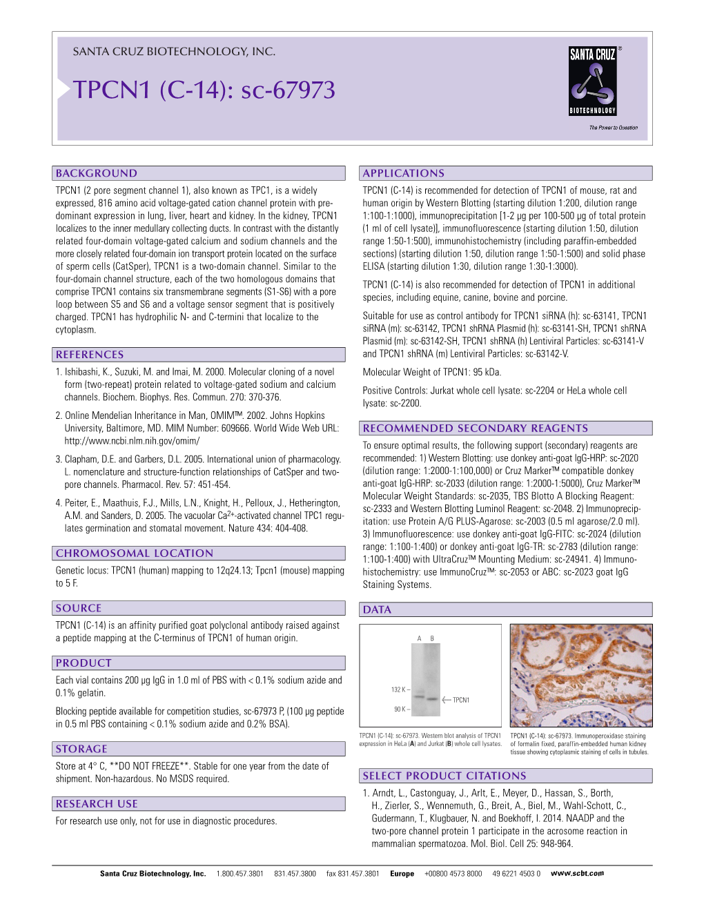 Datasheet Blank Template