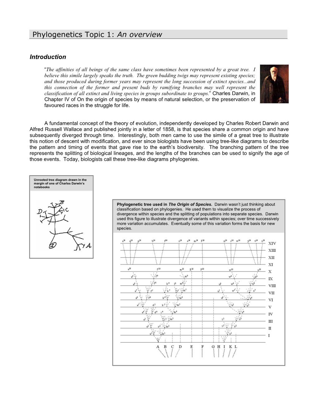 Phylogenetics Topic 1: an Overview