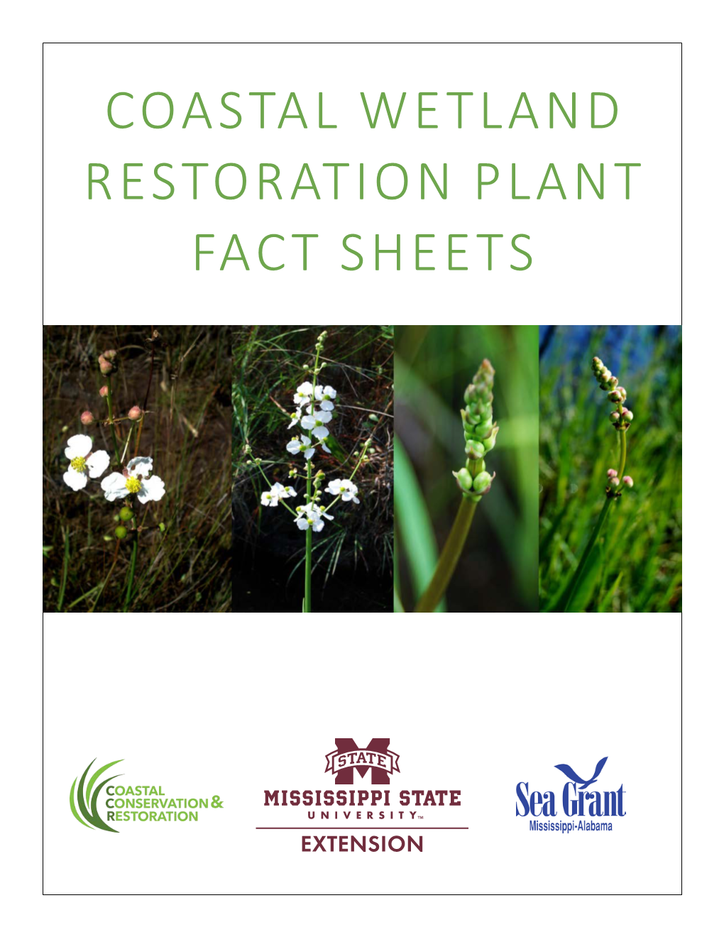 Coastal Wetland Restoration Plant Fact Sheets