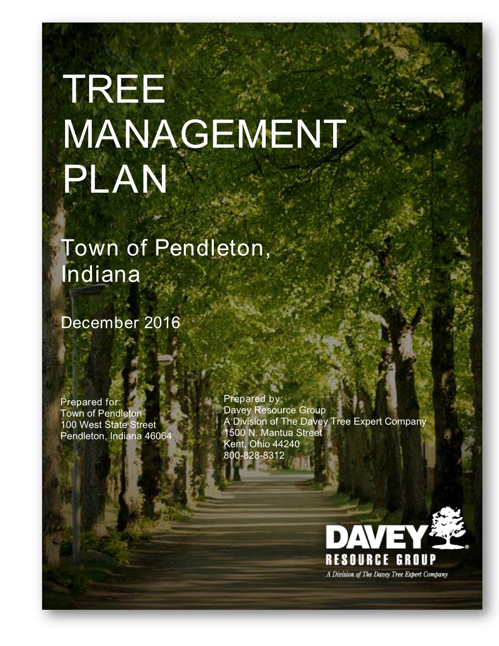 Tree Management Plan