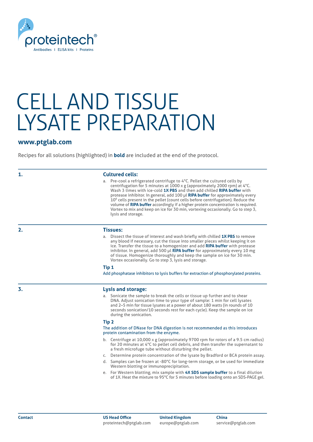 Cell and Tissue Lysate Preparation