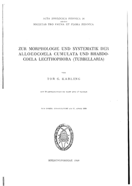 Zur Morphologie Und Systematii( Deh Alloeocoela Cumulata Und Rhabdo- Coela Lecithophora (Turbellaria)