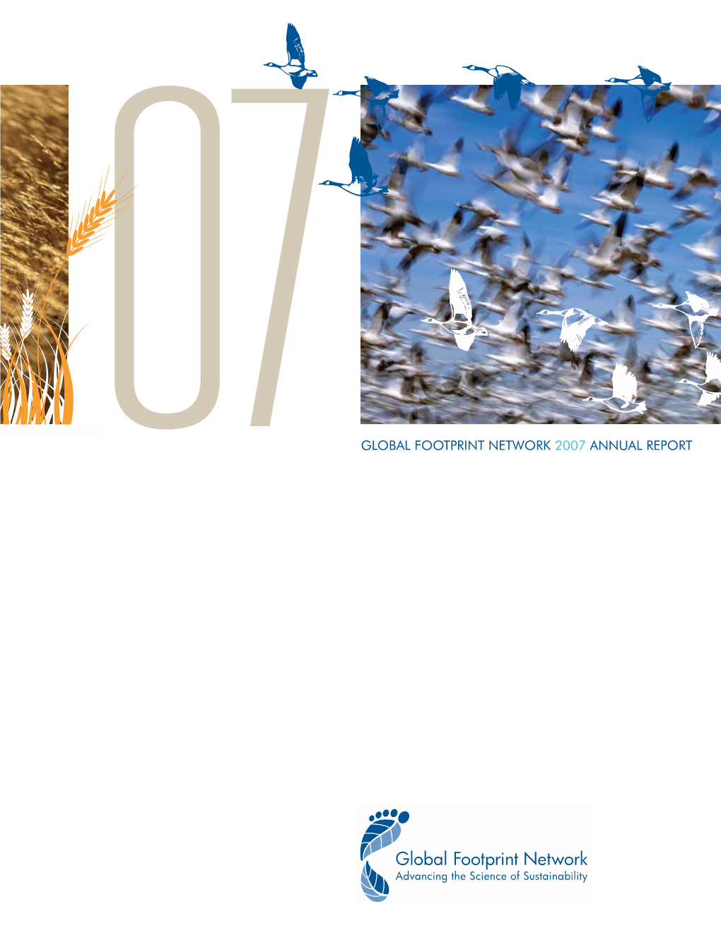 2007 Annual Report 2020