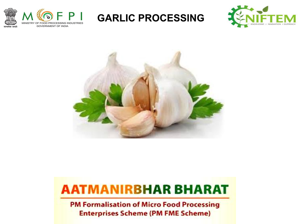 Garlic Processing Introduction