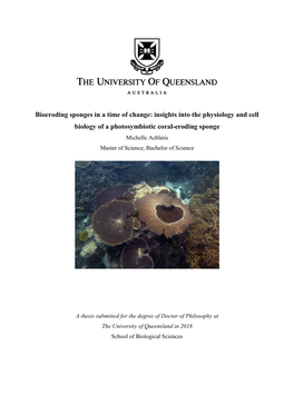 Bioeroding Sponges in a Time of Change