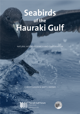Seabirds Hauraki Gulf