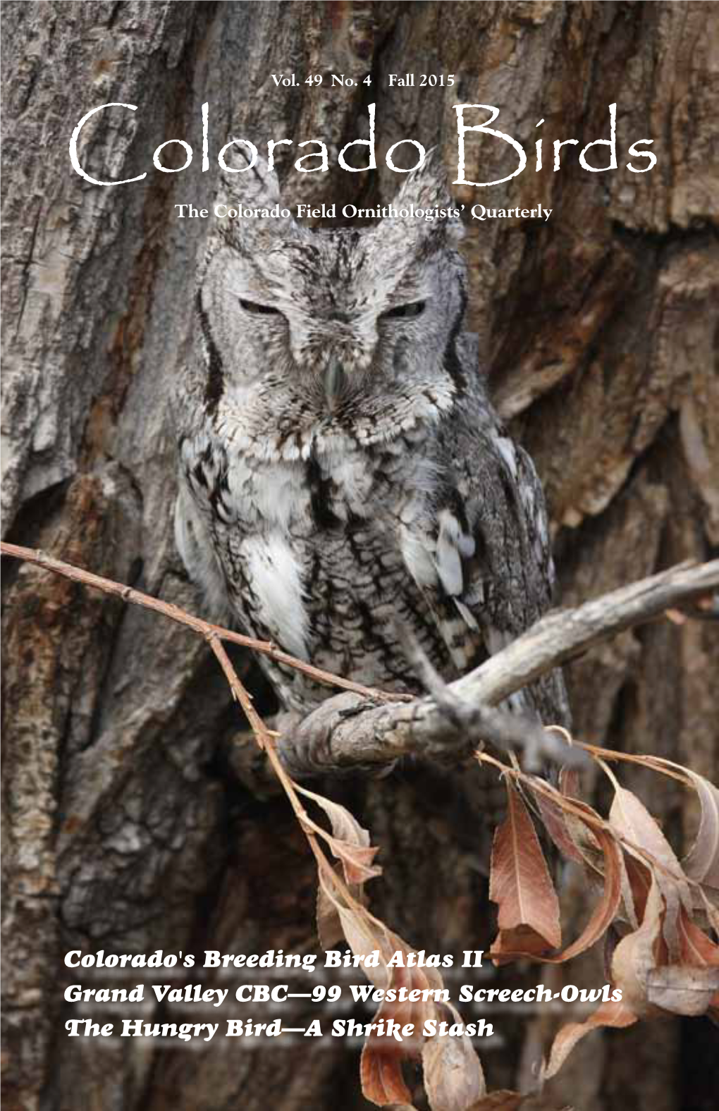 99 Western Screech-Owls the Hungry Bird—A Shrike Stash Colorado Field Ornithologists PO Box 929, Indian Hills, Colorado 80454 Cfobirds.Org