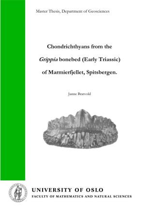 Chondrichthyans from the Grippia Bonebed (Early Triassic) of Marmierfjellet, Spitsbergen