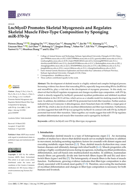 Lncmyod Promotes Skeletal Myogenesis and Regulates Skeletal Muscle Fiber-Type Composition by Sponging Mir-370-3P
