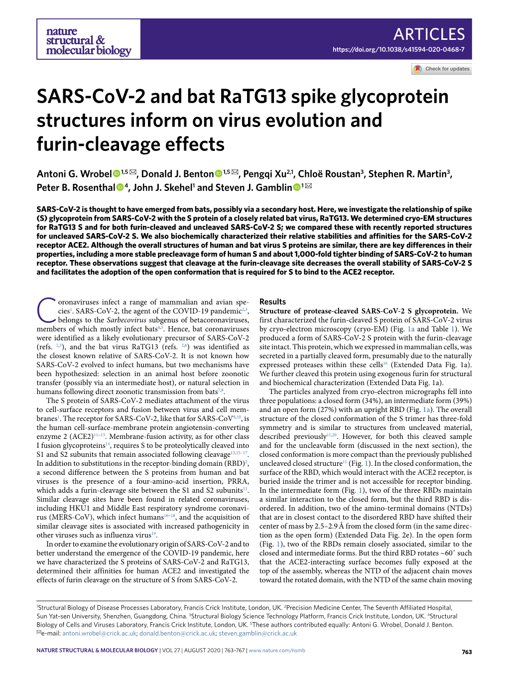 SARS-Cov-2 and Bat Ratg13 Spike Glycoprotein Structures Inform on Virus Evolution and Furin-Cleavage Effects