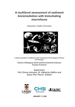A Multilevel Assessment of Sediment Bioremediation with Bioturbating Macrofauna