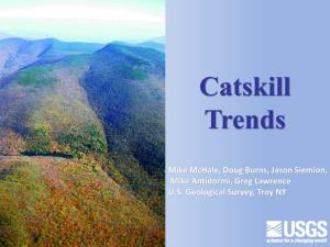Catskill Trends