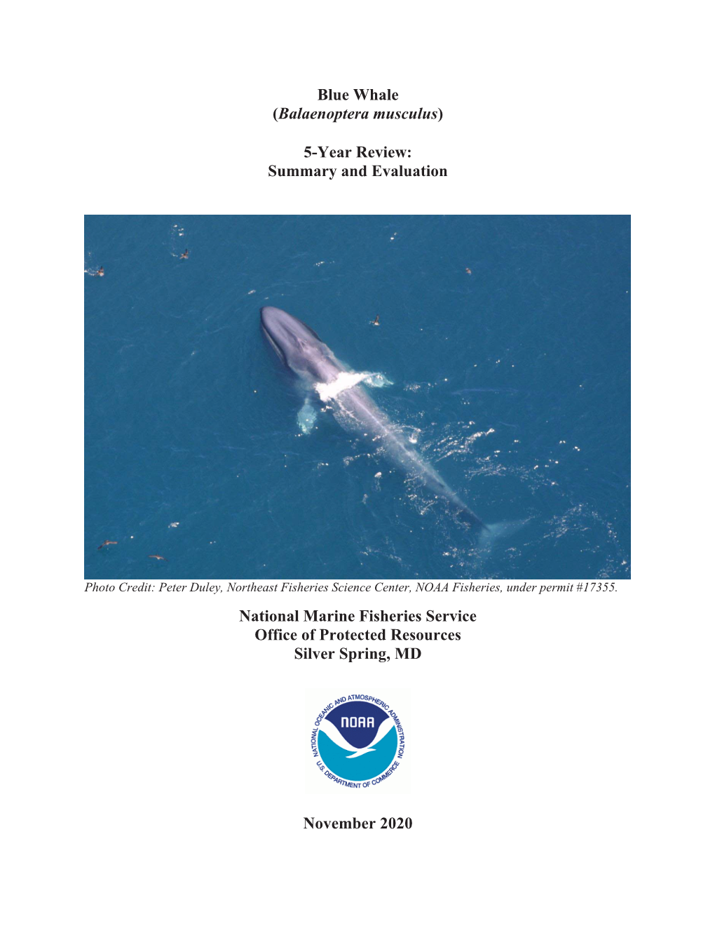 Blue Whale (Balaenoptera Musculus) 5-Year Review