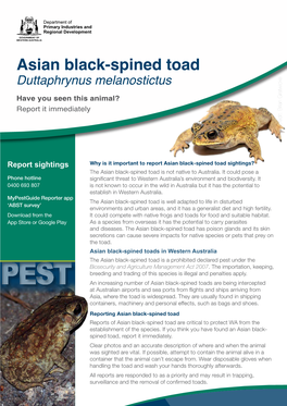 Asian Black-Spined Toad Incident DPIRD.Pdf