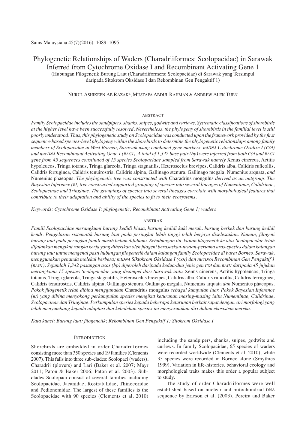 Phylogenetic Relationships of Waders (Charadriiformes: Scolopacidae) In