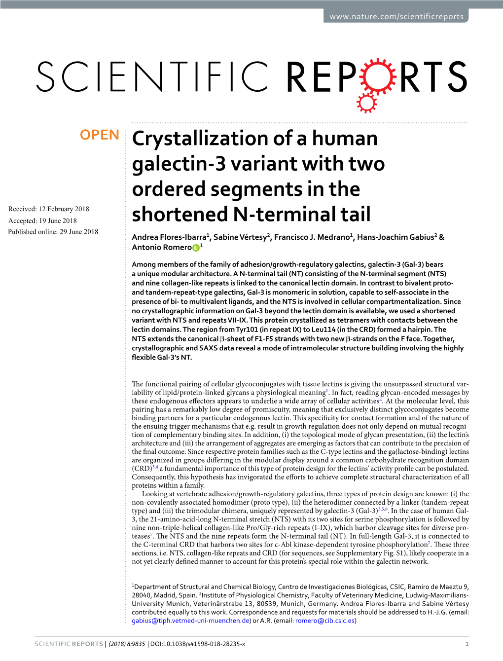 Crystallization of a Human Galectin-3 Variant with Two Ordered Segments