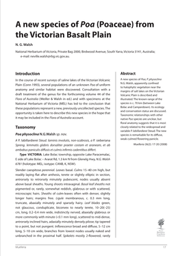 A New Species of Poa (Poaceae) from the Victorian Basalt Plain N