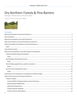 Dry Northern Forests & Pine Barrens