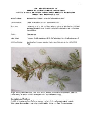 Hybrids of Eurasian Watermilfoil and Northern Watermilfoil Are