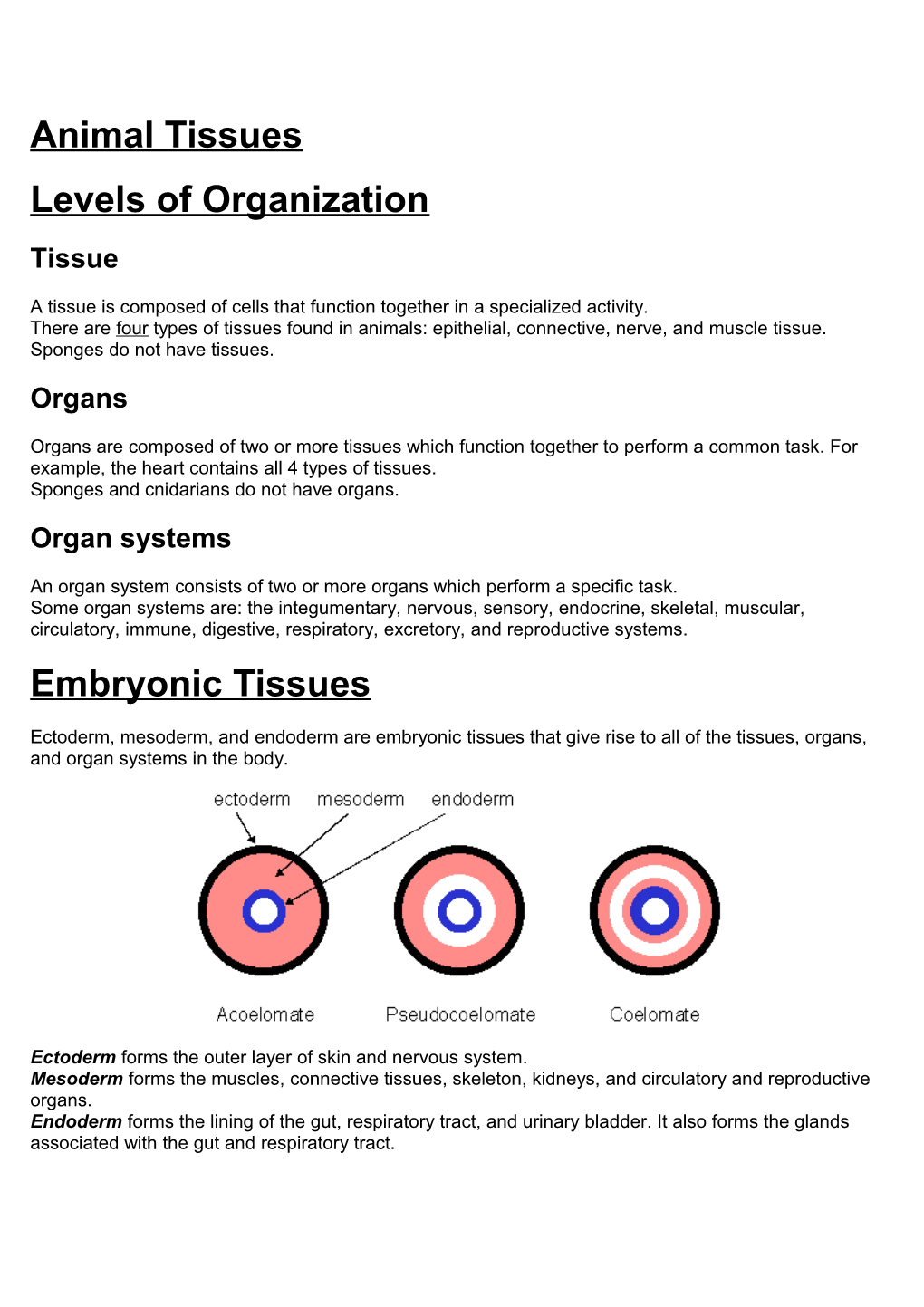 Chapter 33 - Animal Tissues