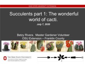 The Wonderful World of Cacti. July 7, 2020