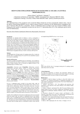 Deep-Water Cephalopods from Gfcm Geographical Sub-Area 15 (Central Mediterranean)