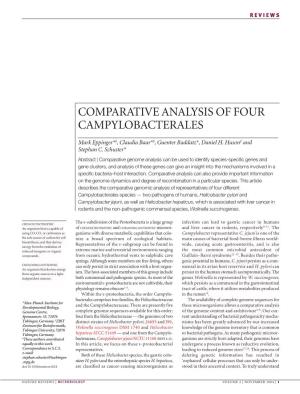 Comparative Analysis of Four Campylobacterales