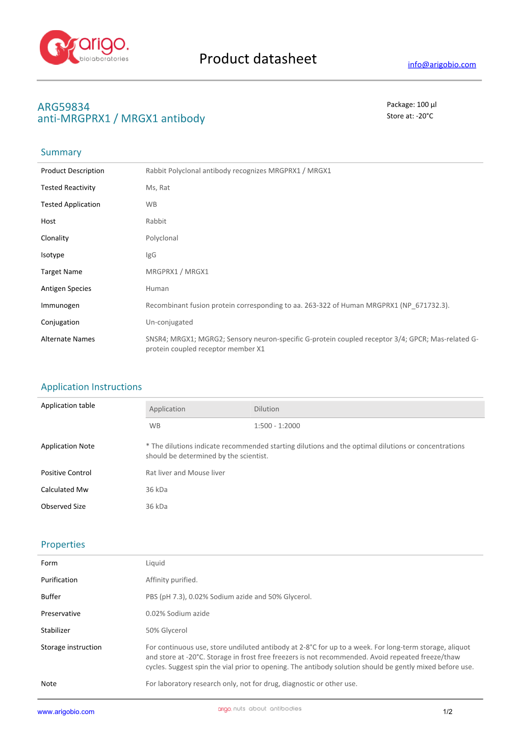 Anti-MRGPRX1 / MRGX1 Antibody (ARG59834)