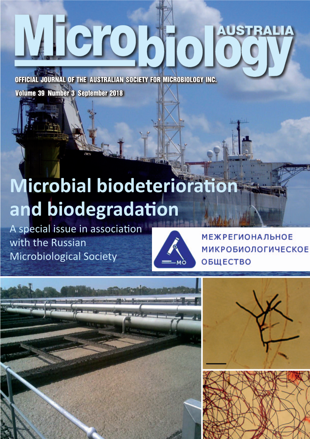 Microbial Biodeterioration and Biodegradation