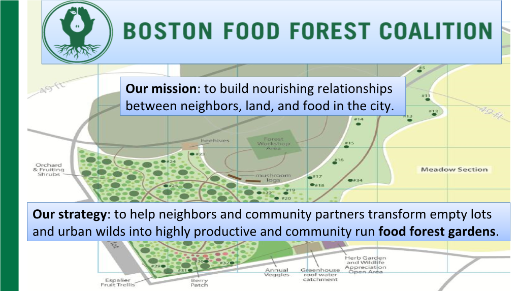 Food Forest Gardens